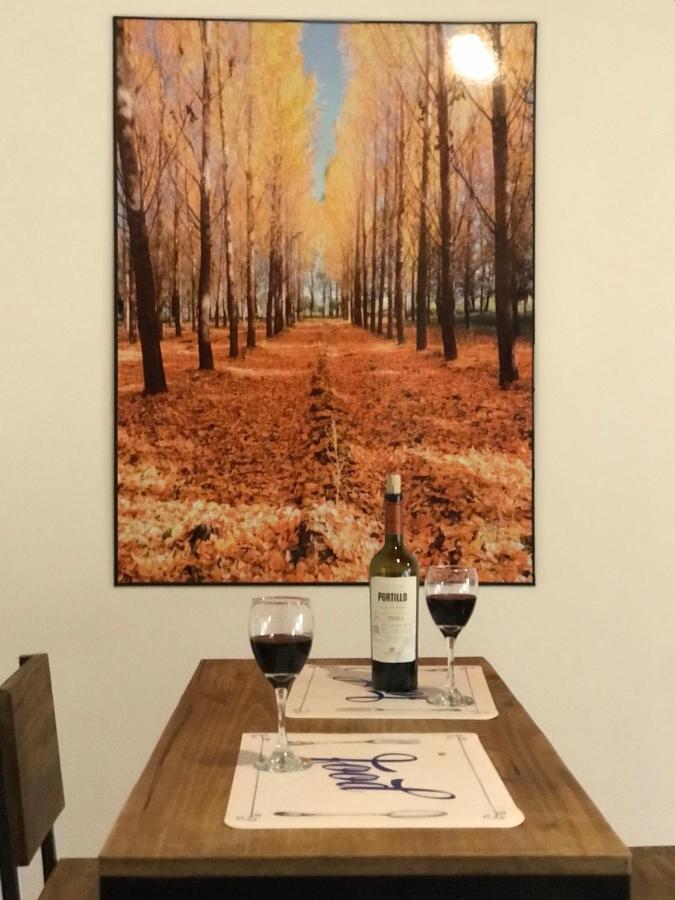 Mza Wine Apartment -Next To Aristides Street- First Class 멘도사 외부 사진